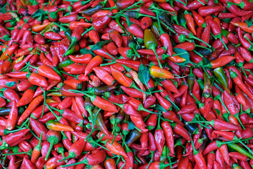 Fes-Morocco Red hot chiles for sale in the market